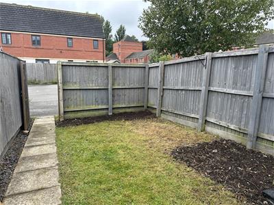 Picture 11